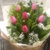 Pink Tulips for Mother's Day